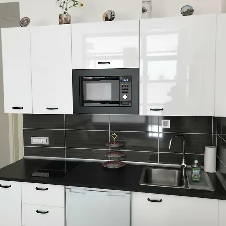Viktor Apartament
