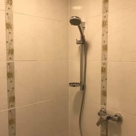 Viktor Appartement *